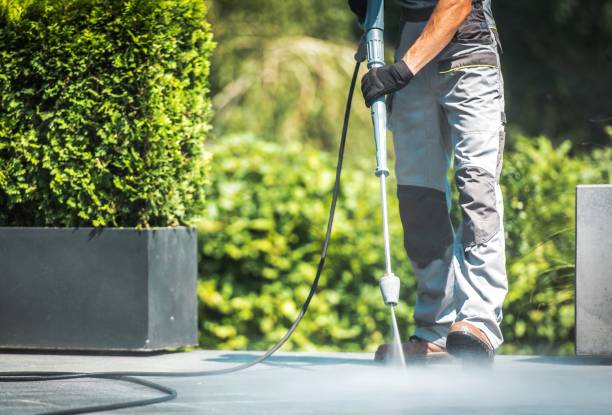 Best Vinyl Siding Pressure Washing in Oreana, IL