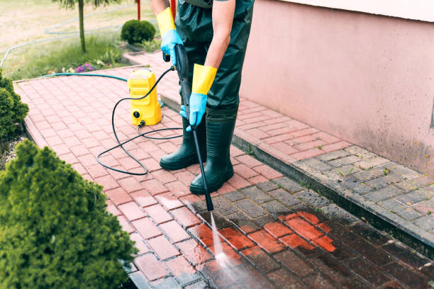 Best Brick and Stone Cleaning in Oreana, IL
