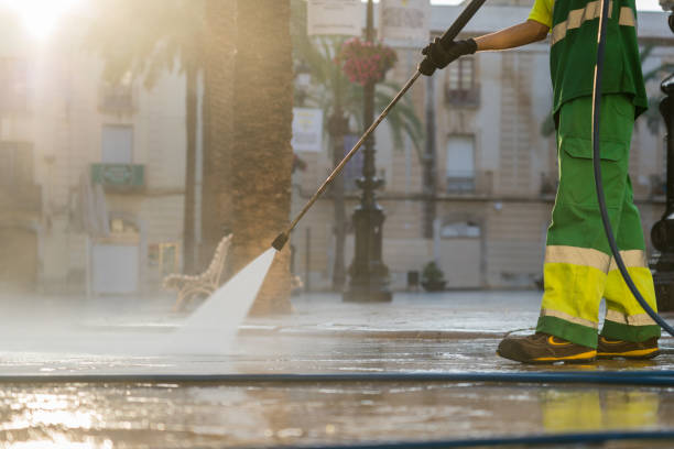 Best Gutter Cleaning and Brightening in Oreana, IL